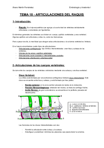 TEMA-18-ARTICULACIONES-DEL-RAQUIS.pdf