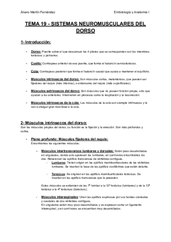 TEMA-19-SISTEMAS-NEUROMUSCULARES-DEL-DORSO.pdf