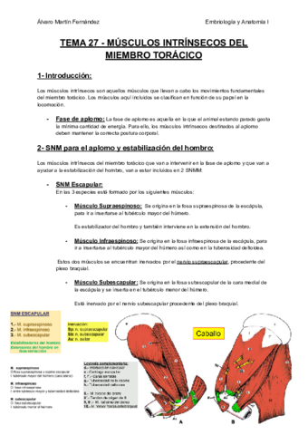 TEMA-27-MUSCULOS-INTRINSECOS-DEL-MIEMBRO-TORACICO.pdf