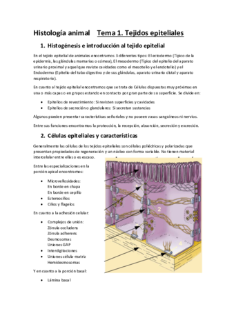 Histologia-animal-Tema-1-convertido.pdf
