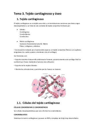 Tema-3-convertido-1.pdf