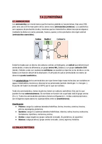 T.4 PROTEÍNAS