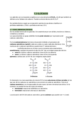 T.2 GLÚCIDOS
