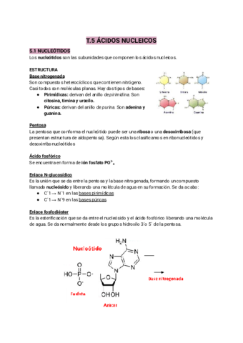 T.5 ÁC. NUCLEICOS