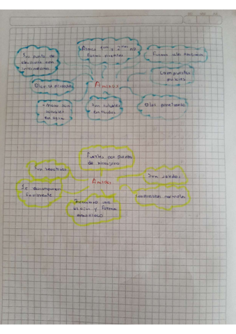 Andres-Ona-3bgu-A-quimica-6.pdf