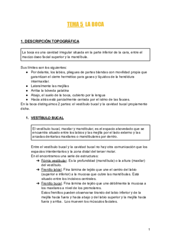 TEMA-5-LA-BOCA.pdf