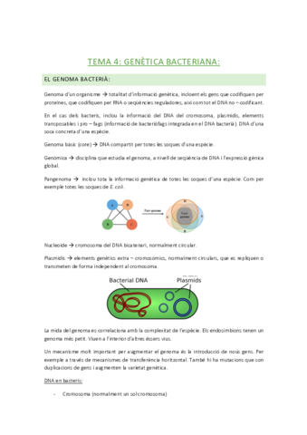 tema-4.pdf