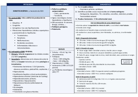 tablas-endocrino.pdf