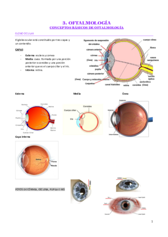 OFTALMOLOGIA.pdf