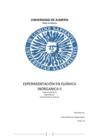 INFORME-EXPERIMENTACION-EN-QUIMICA-INORGANICA.pdf