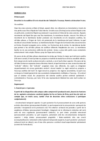 CRISTINA BENITO EXERCICI 3 AC1.pdf