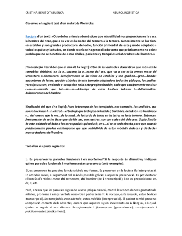 CRISTINA BENITO EXERCICI 2 AC2.pdf