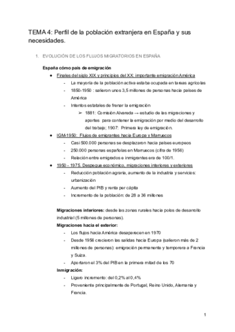 TEMA-4-Perfil-de-la-poblacion-extranjera-en-Espana-y-sus-necesidades.pdf