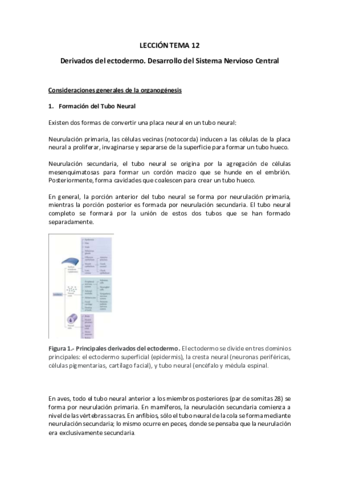 LECCION-TEMA-12Texto-y-preguntas.pdf