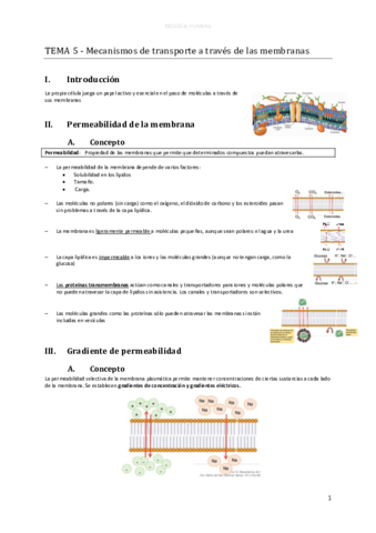 d-TEMA-5-Mecanismos-de-transporte-a-traves-de-las-membranas-1.pdf