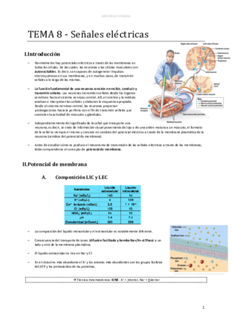 d-TEMA-8-Senales-electricas-1-1.pdf