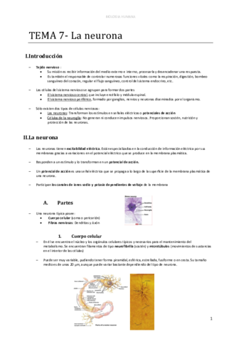 d-TEMA-7-La-neurona.pdf