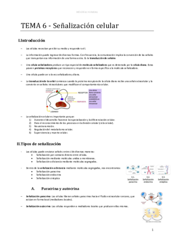 d-TEMA-6-Senalizacion-celular.pdf