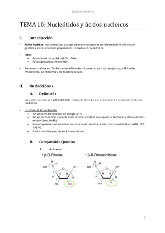 d-TEMA-10-NUCLEOTIDOS-Y-ACIDOS-NUCLEICOS.pdf