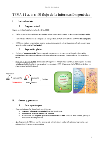 d-TEMA-11ab-El-flujo-de-la-informacion-genetica.pdf