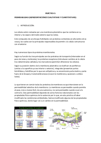 P5PERMEABILIDAD.pdf
