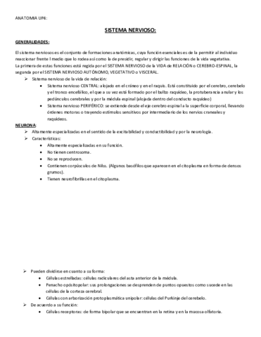 ANATOMIA-UP4.pdf
