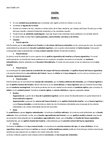 ANATOMIA-UP7.pdf