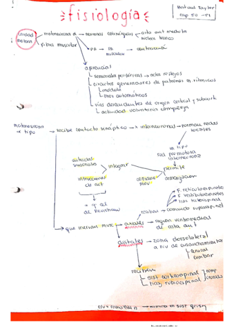 fisiologia-up2-cap-50-y-51-Best-and-taylor.pdf