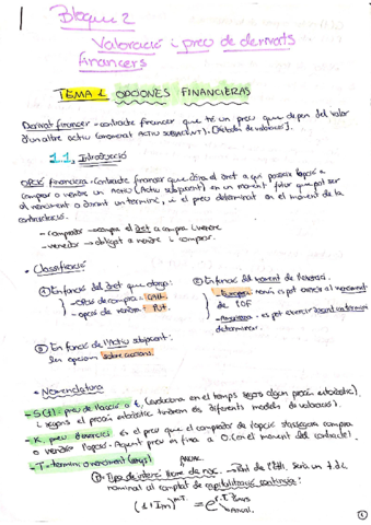 bloque-2-tema-1-opciones-financieras.pdf