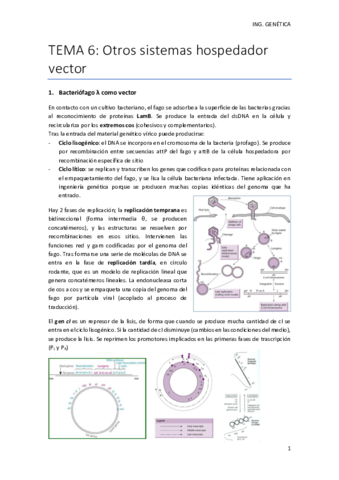 TEMA-6-.pdf