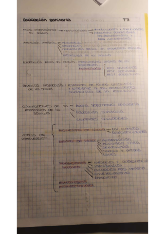 TEMA7.pdf