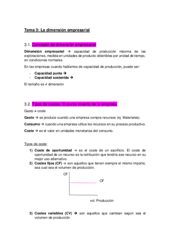 Tema-3-La-dimension-empresarial.pdf