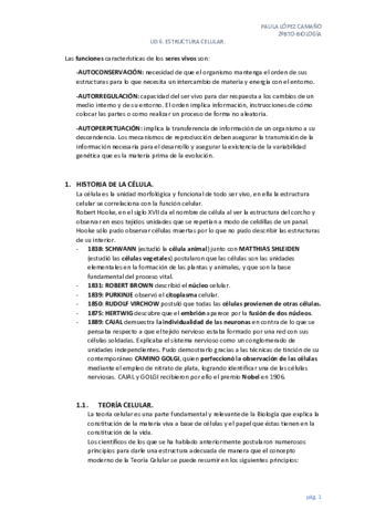 APUNTES-TEMA-6.pdf