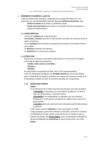 APUNTES-TEMA-8.pdf