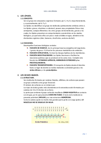 APUNTES-TEMA-3.pdf