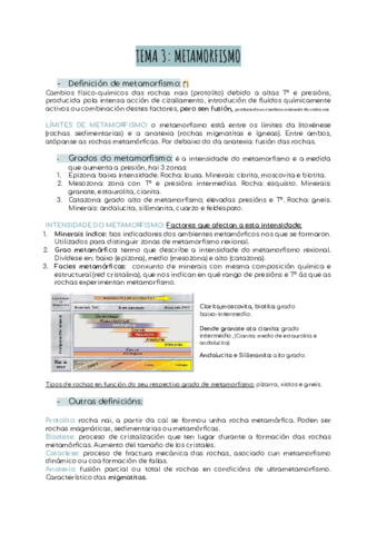 TEMA-3-METAMORFISMO.pdf