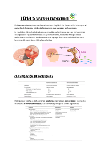 Tema-5.pdf