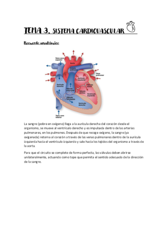 Tema-3.pdf