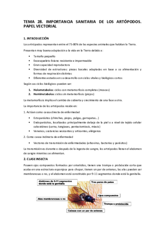 TEMA-28-Importancia-sanitaria-de-los-artropodos.pdf