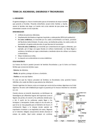 TEMA-24-Ascariosis-oxiurosis-trichuriosis.pdf
