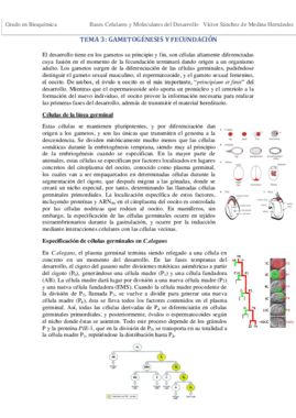 Tema 3. Gametogénesis y fecundación VSM.pdf