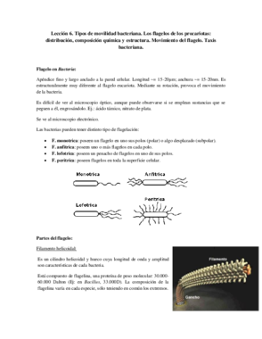 Tema 6 - Movilidad bacteriana.pdf