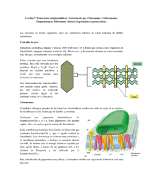 Tema 7 - Estructuras citoplasmáticas.pdf