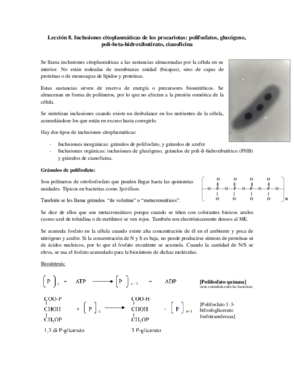 Tema 8 - Inclusiones citoplasmáticas.pdf