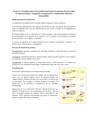 Tema 17 - Principios básicos de genética bacteriana.pdf