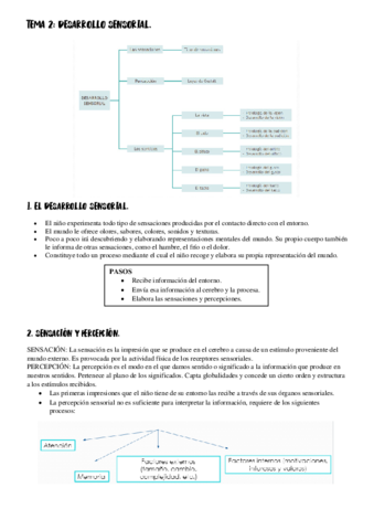 TEMA-2-DCM.pdf