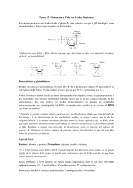 Tema 13 - Estructura Primaria de los Ácidos Nucleicos.pdf
