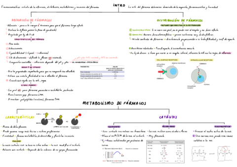 T2-Metabolismo-De-Farmacos-.pdf