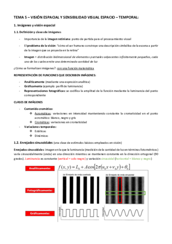 TEMA-5.pdf
