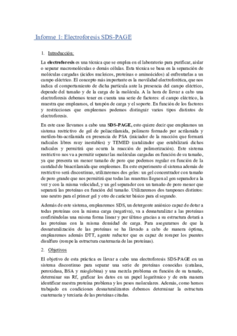 Informe-tib-1-Electroforesis.pdf